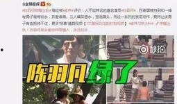 郑晨龙最新爆料消息视频,揭秘事件背后惊人真相